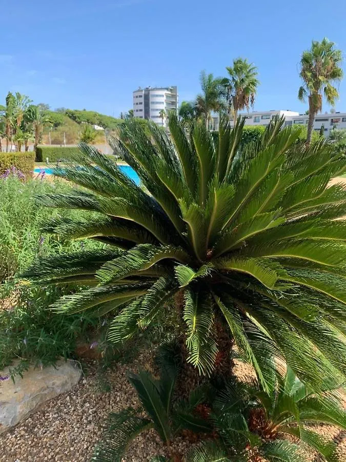 Apartment With Sea View Quarteira